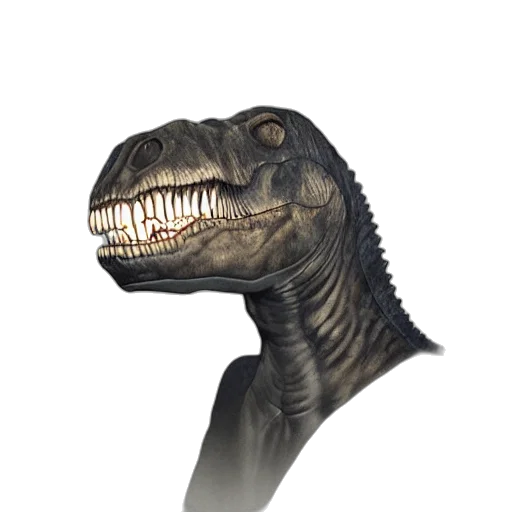 creature, animal, dragon, face transparent PNG cut-out