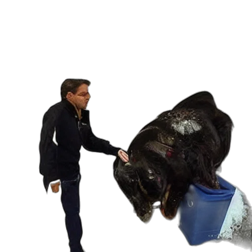 animal, jacket, creature, weapon, concept art, 3d render, photorealistic, underwater transparent PNG cut-out
