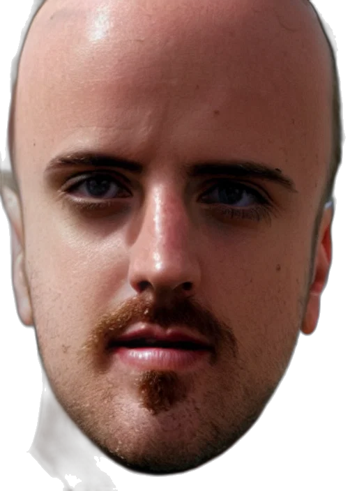 face, mask, staff, hair transparent PNG cut-out
