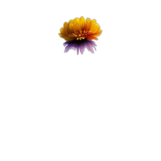 flower, crown, staff, jewelry transparent PNG cut-out