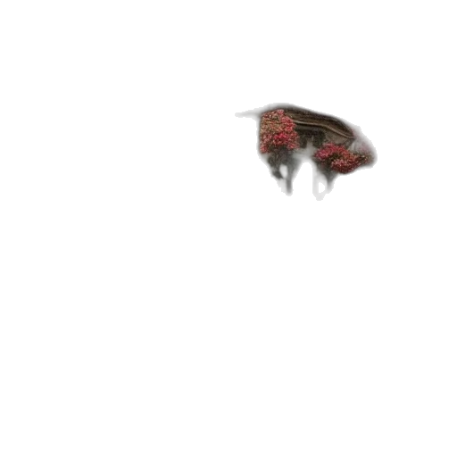 dragon, creature, animal, robot, pixel art, concept art, 3d render, photorealistic transparent PNG cut-out