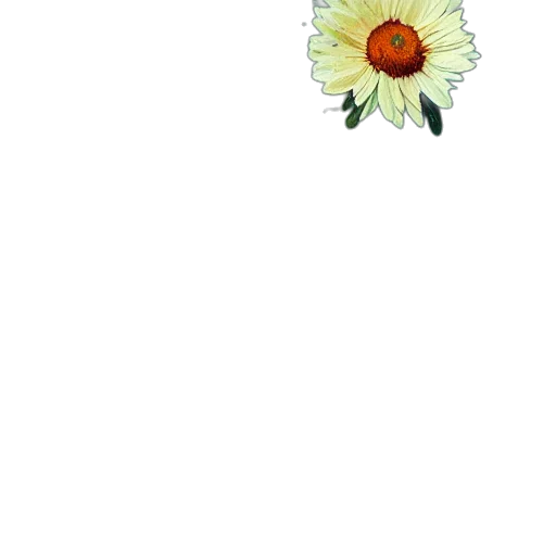 flower, jewelry, staff, crown transparent PNG cut-out