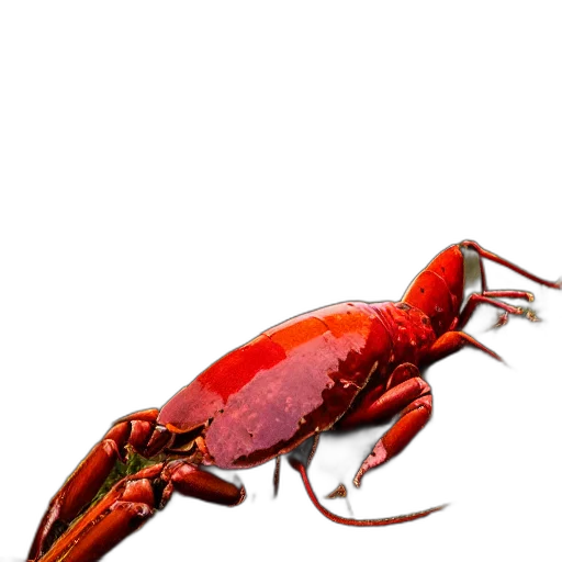 animal, creature, food, weapon transparent PNG cut-out