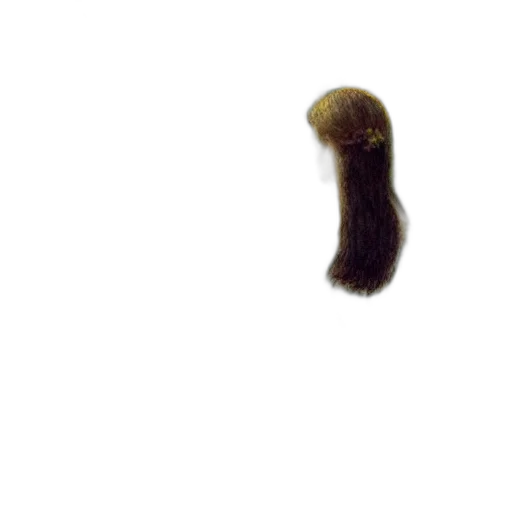 hair, animal, staff, creature, 3d render, photorealistic, concept art, girl transparent PNG cut-out