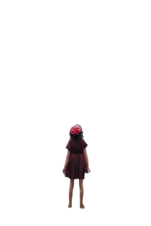 dress, hat, creature, robot, pixel art, 3d render, concept art, anime transparent PNG cut-out
