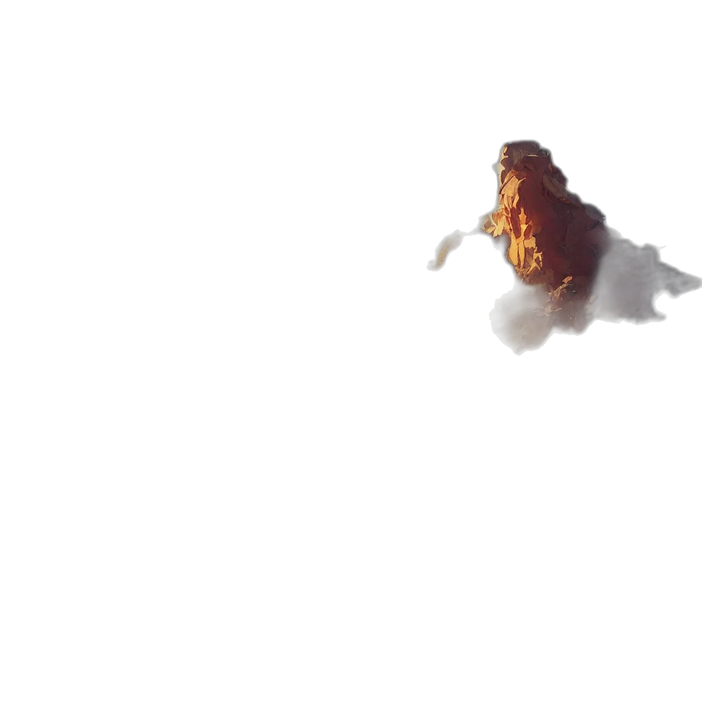 dragon, hair, food, crown transparent PNG cut-out