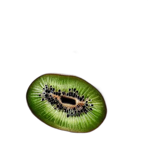 animal, food, hair, creature, photorealistic, 3d render, concept art, watercolor transparent PNG cut-out