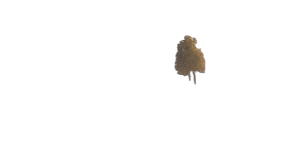 tree, crown, hair, hat transparent PNG cut-out