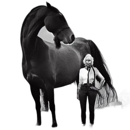animal, hair, creature, staff transparent PNG cut-out