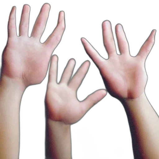 3d render, photorealistic, five, fingers, single, human, hand, photograph transparent PNG cut-out