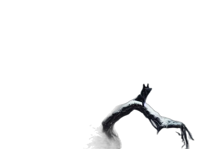 dragon, creature, mask, animal transparent PNG cut-out