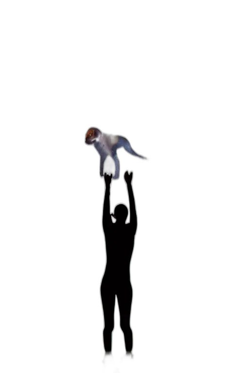 staff, concept art, pixel art, 3d render, forest, outer space, underwater, beagle transparent PNG cut-out
