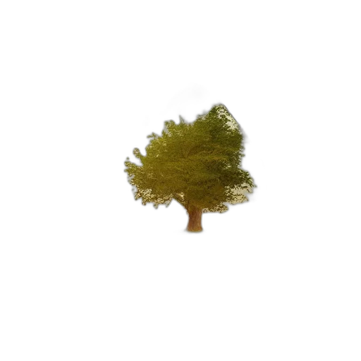 tree, hair, crown, hat, 3d render, photorealistic, pixel art, concept art transparent PNG cut-out