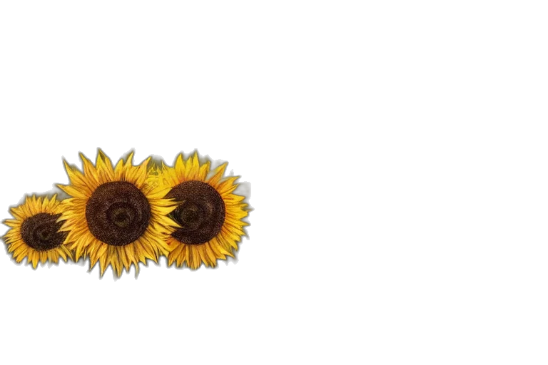 flower, crown, jewelry, umbrella transparent PNG cut-out