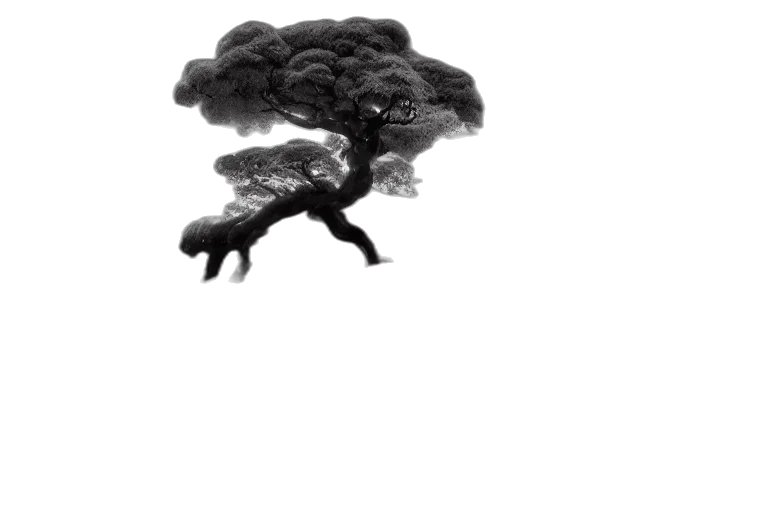 tree, hair, creature, dragon, concept art, photorealistic, 3d render, fantasy art transparent PNG cut-out