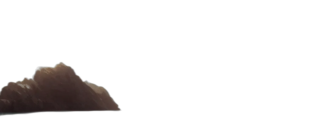 hair, hat, animal, face transparent PNG cut-out