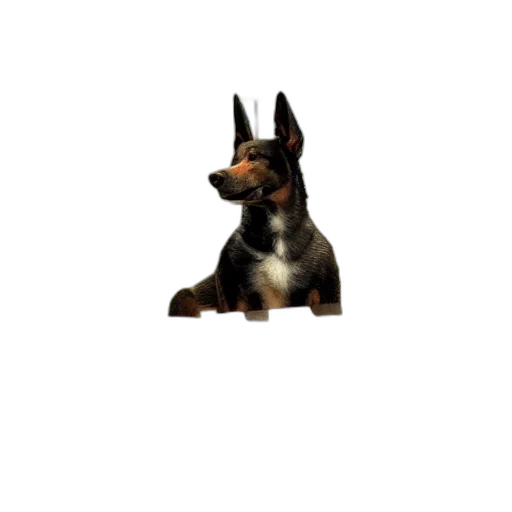 animal, staff, creature, face transparent PNG cut-out