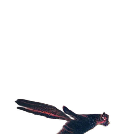 animal, dragon, creature, staff, concept art, 3d render, photorealistic, pixel art transparent PNG cut-out