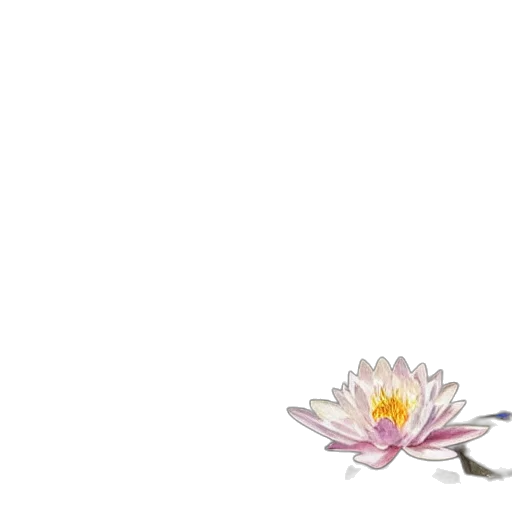 flower, staff, jewelry, crown transparent PNG cut-out