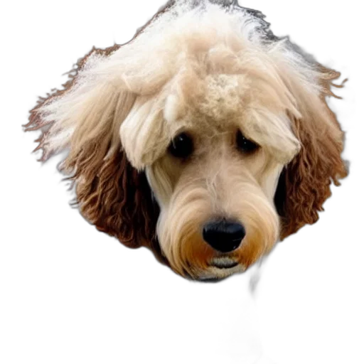 animal, staff, face, hat, photorealistic, 3d render, oil painting, pixel art transparent PNG cut-out