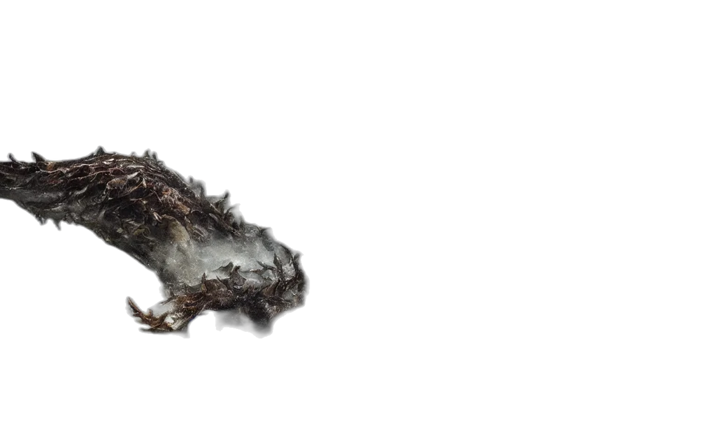 hair, dragon, weapon, mask transparent PNG cut-out