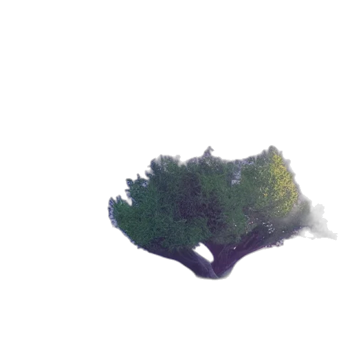 tree, crown, hair, creature, 3d render, pixel art, photorealistic, watercolor transparent PNG cut-out