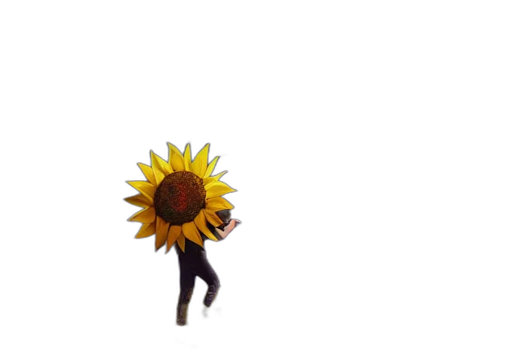 flower, umbrella, staff, crown, 3d render, pixel art, concept art, photorealistic transparent PNG cut-out