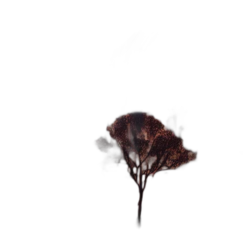 tree, hair, flower, crown transparent PNG cut-out