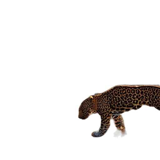 animal, creature, staff, dragon, 3d render, concept art, photorealistic, pixel art transparent PNG cut-out