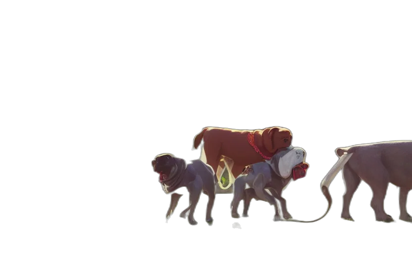 animal, crown, concept art, watercolor transparent PNG cut-out