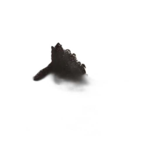 crown, hair, hat, shoes, 3d render, photorealistic, concept art, pixel art transparent PNG cut-out