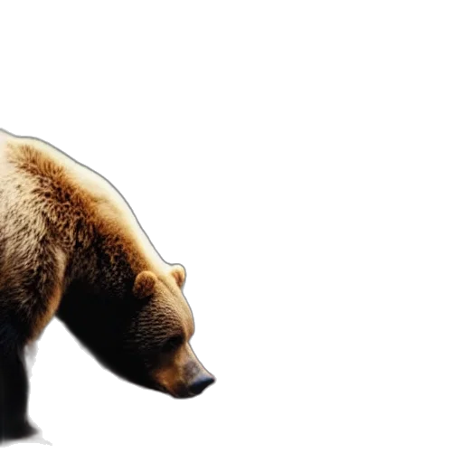 animal, creature, photorealistic, concept art transparent PNG cut-out
