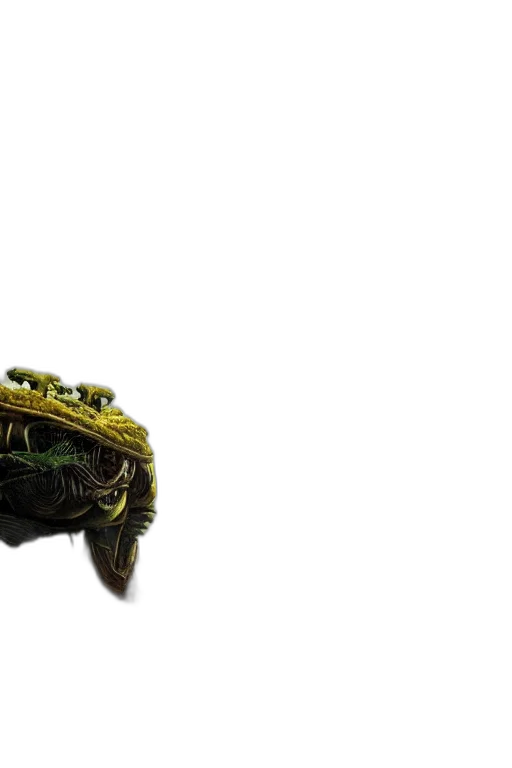 hat, dragon, crown, animal, 3d render, photorealistic, concept art, alien transparent PNG cut-out