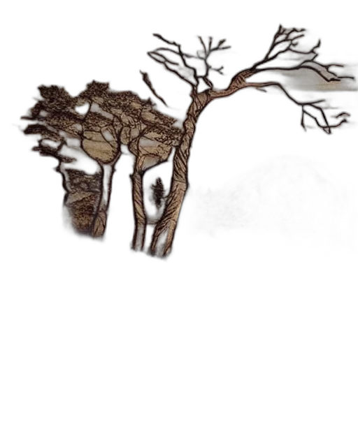 tree, hair, crown, staff transparent PNG cut-out