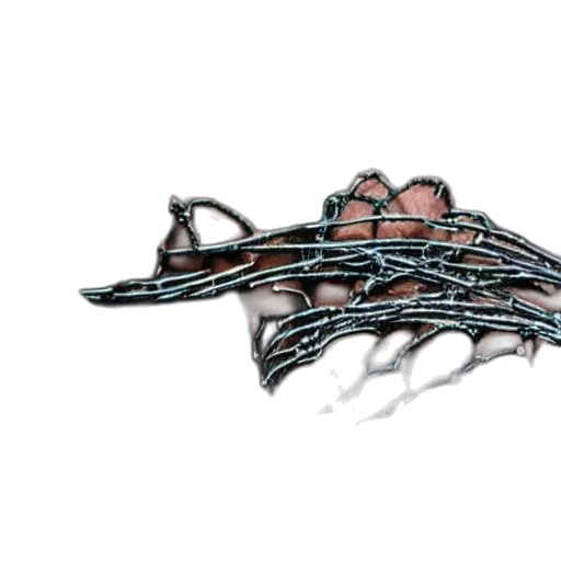 jewelry, crown, dragon, weapon transparent PNG cut-out