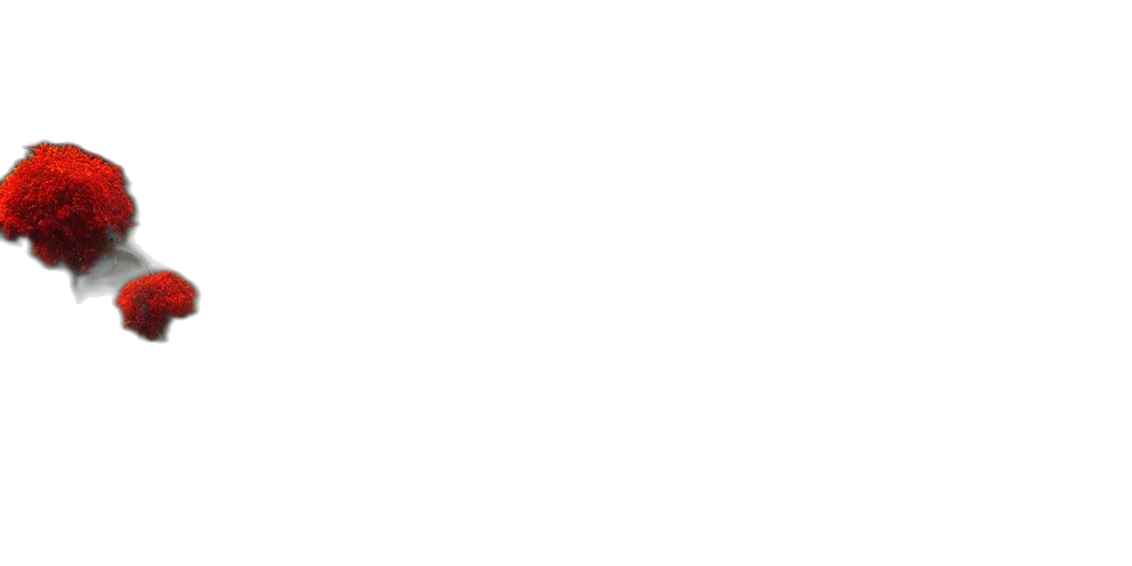 staff, face, monochrome, pastel transparent PNG cut-out
