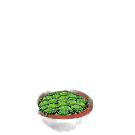 food, crown, hat, flower transparent PNG cut-out