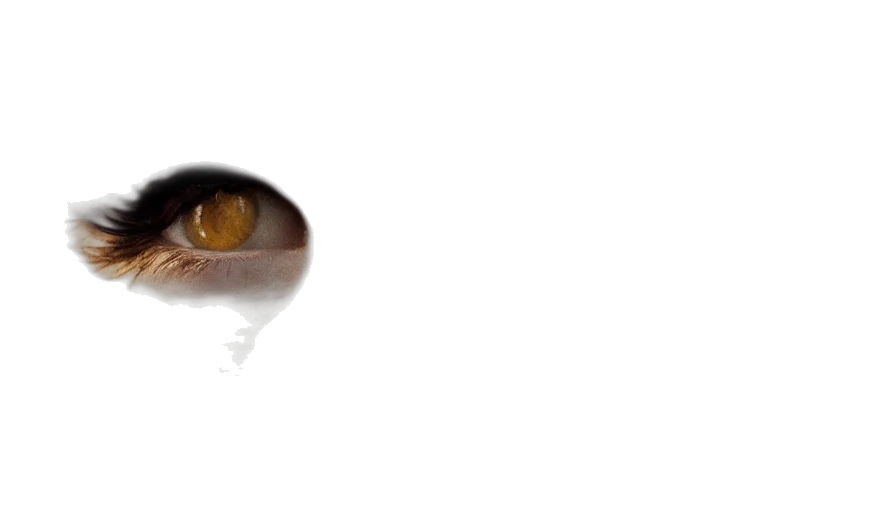 face, dragon, animal, creature transparent PNG cut-out