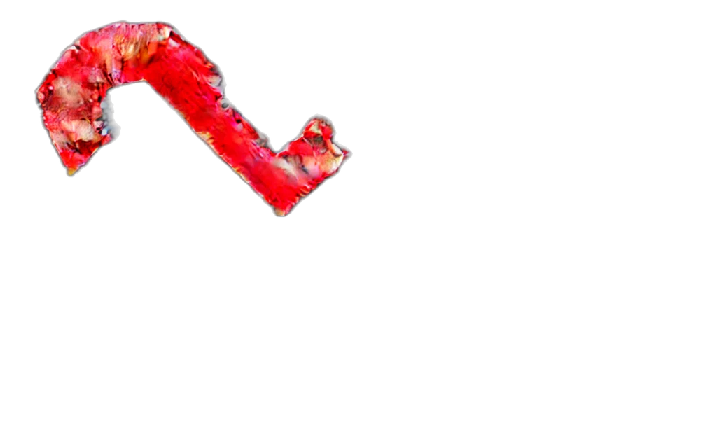 weapon, sword, staff, umbrella transparent PNG cut-out