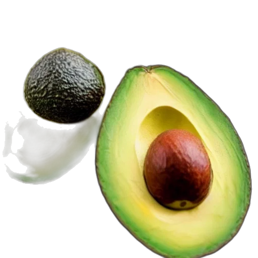 food, hat, animal, weapon transparent PNG cut-out