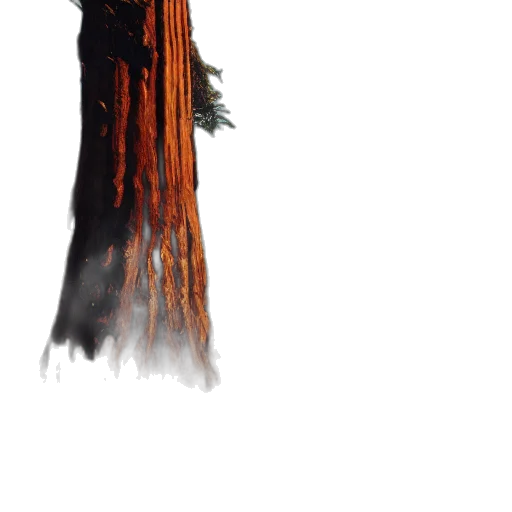 tree, creature, hair, staff, concept art, 3d render, pixel art, fantasy art transparent PNG cut-out