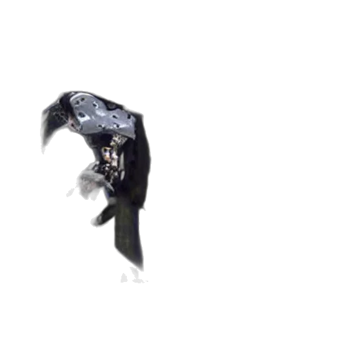 hat, umbrella, mask, jacket transparent PNG cut-out