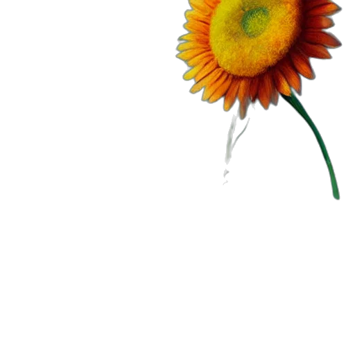 flower, staff, umbrella, crown transparent PNG cut-out