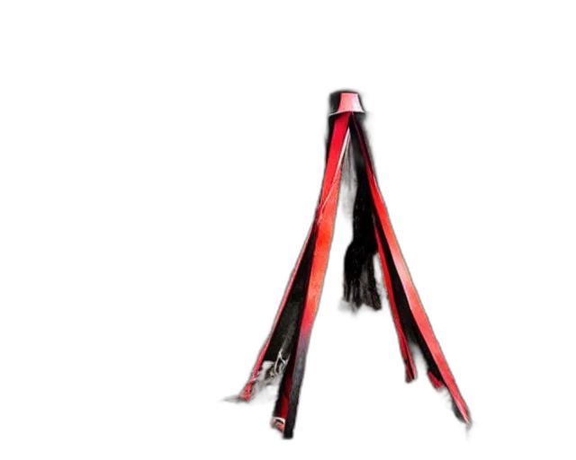 umbrella, staff, weapon, crown transparent PNG cut-out