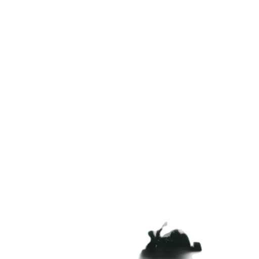 hat, shoes, creature, animal transparent PNG cut-out