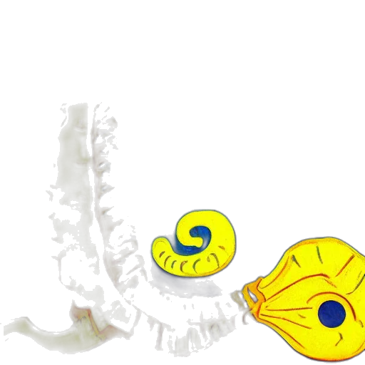 jewelry, mask, crown, dragon transparent PNG cut-out