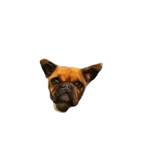 animal, face, creature, mask, 3d render, photorealistic, pixel art, concept art transparent PNG cut-out
