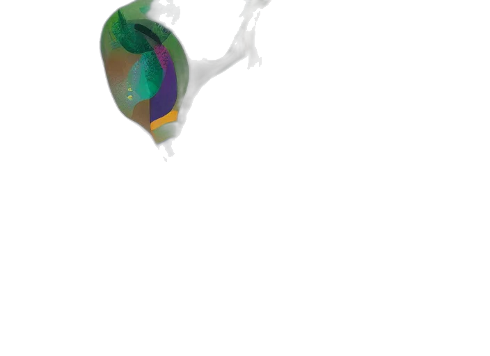 umbrella, mask, hat, jewelry transparent PNG cut-out
