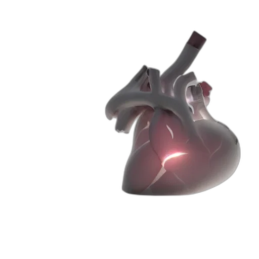 3d render, concept art, human, heart transparent PNG cut-out