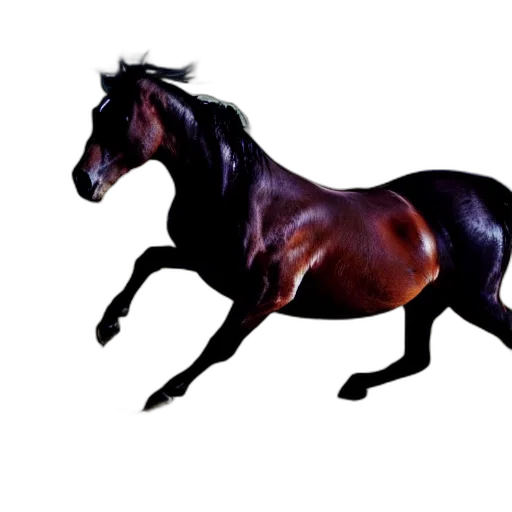 animal, creature, dragon, hair transparent PNG cut-out